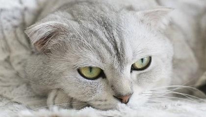 数年前买了2万块比特币的人，现在生活怎么样了？
