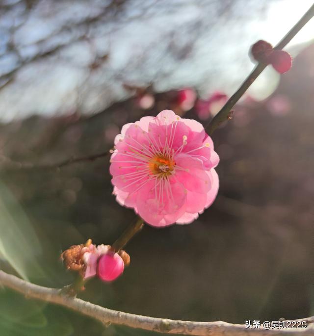 比特币现在50000美元<strong></p>
<p>1个比特币价格</strong>，有谁像我一样错过成为亿万富翁机会？
