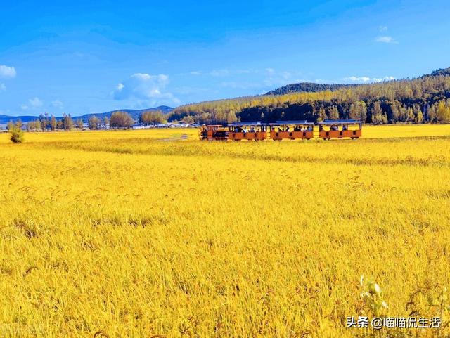 10000人民币在朝鲜能玩多久<strong></p>
<p>币今日价格</strong>？