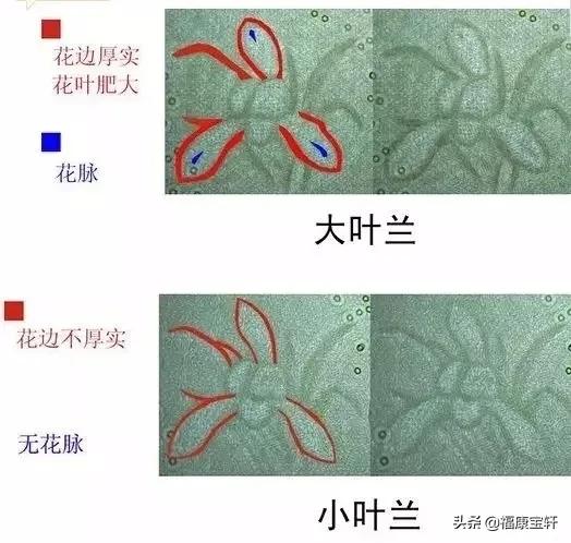 为什么有些人认为1999年纸币的“十元”能成为“币王”<strong></p>
<p>币交易价格</strong>？