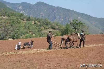 都说勤劳致富，一晃多年还是一事无成<strong></p>
<p>法币符号</strong>。难道是说自己不够努力吗？