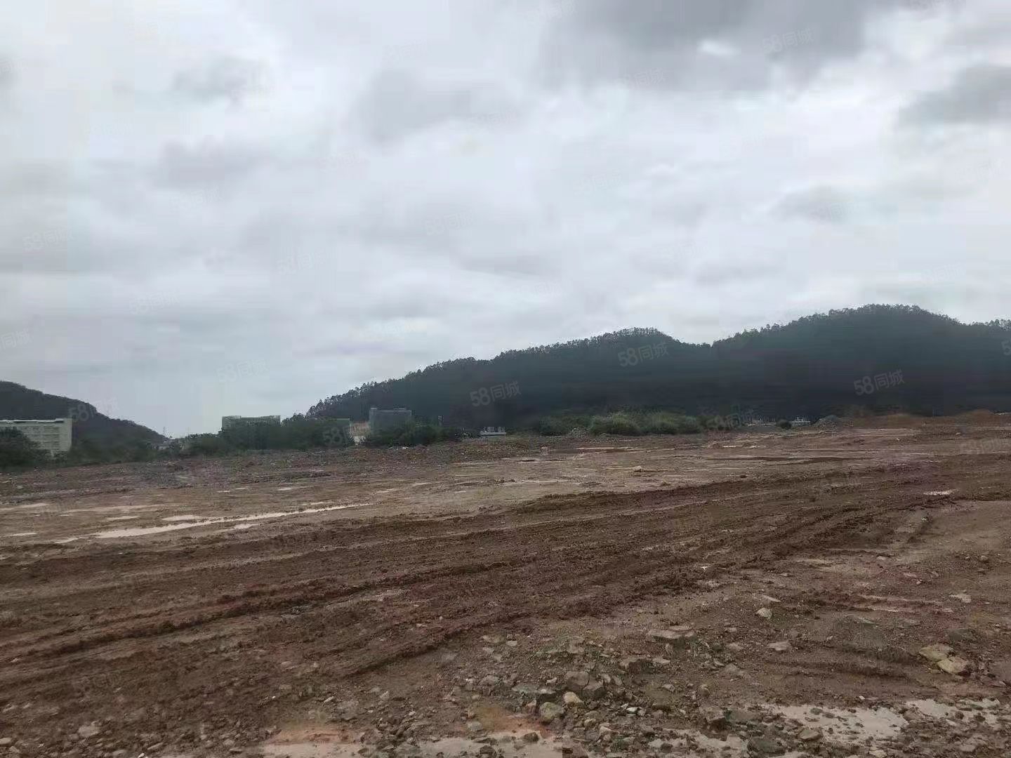 广东国龙贵金属经营有限公司怎么样(广东国龙贵金属经营有限公司深圳分公司)