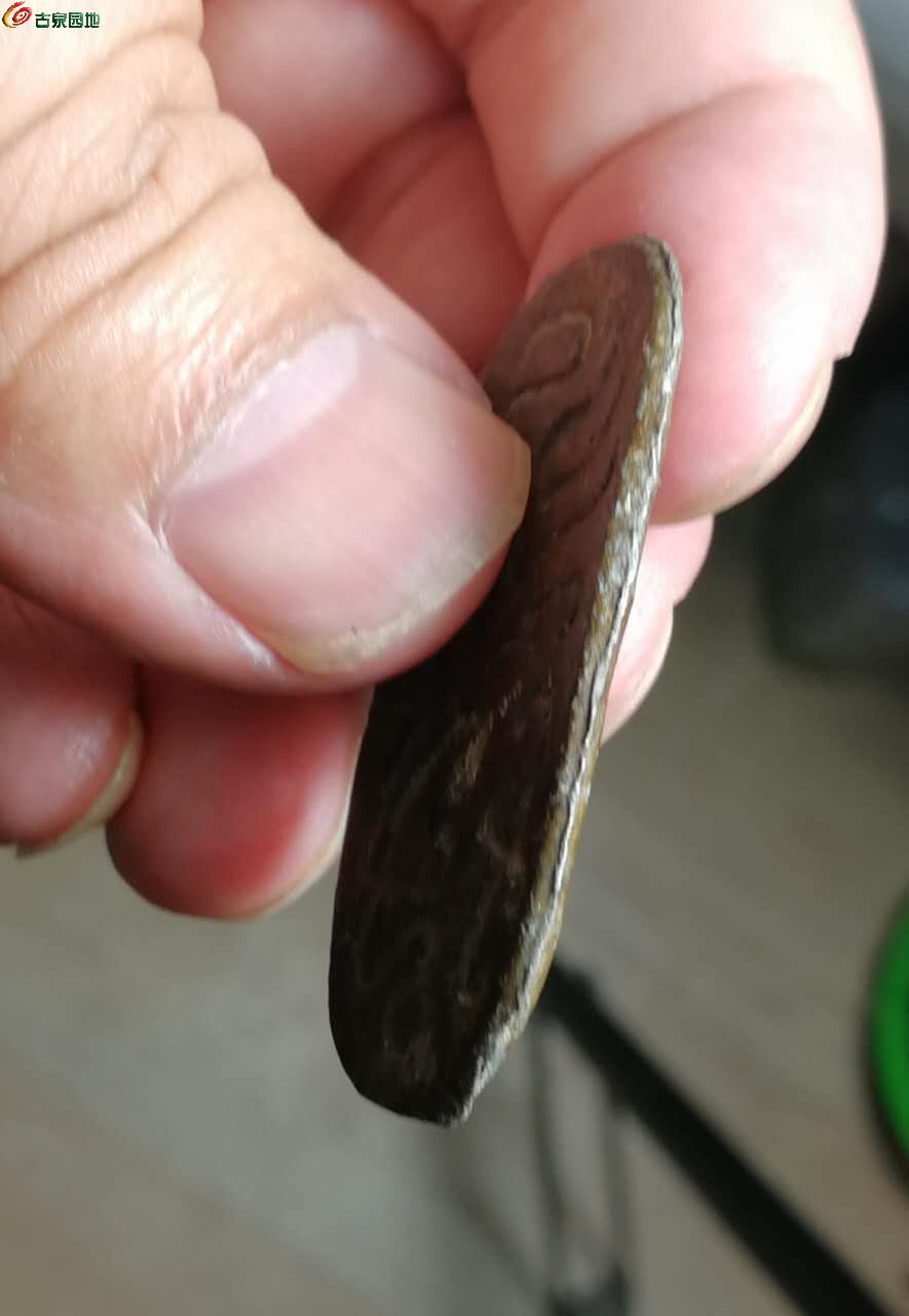 龟币(龟币什么时候发现出来的)