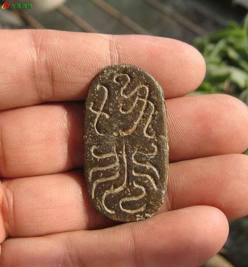 龟币(龟币什么时候发现出来的)