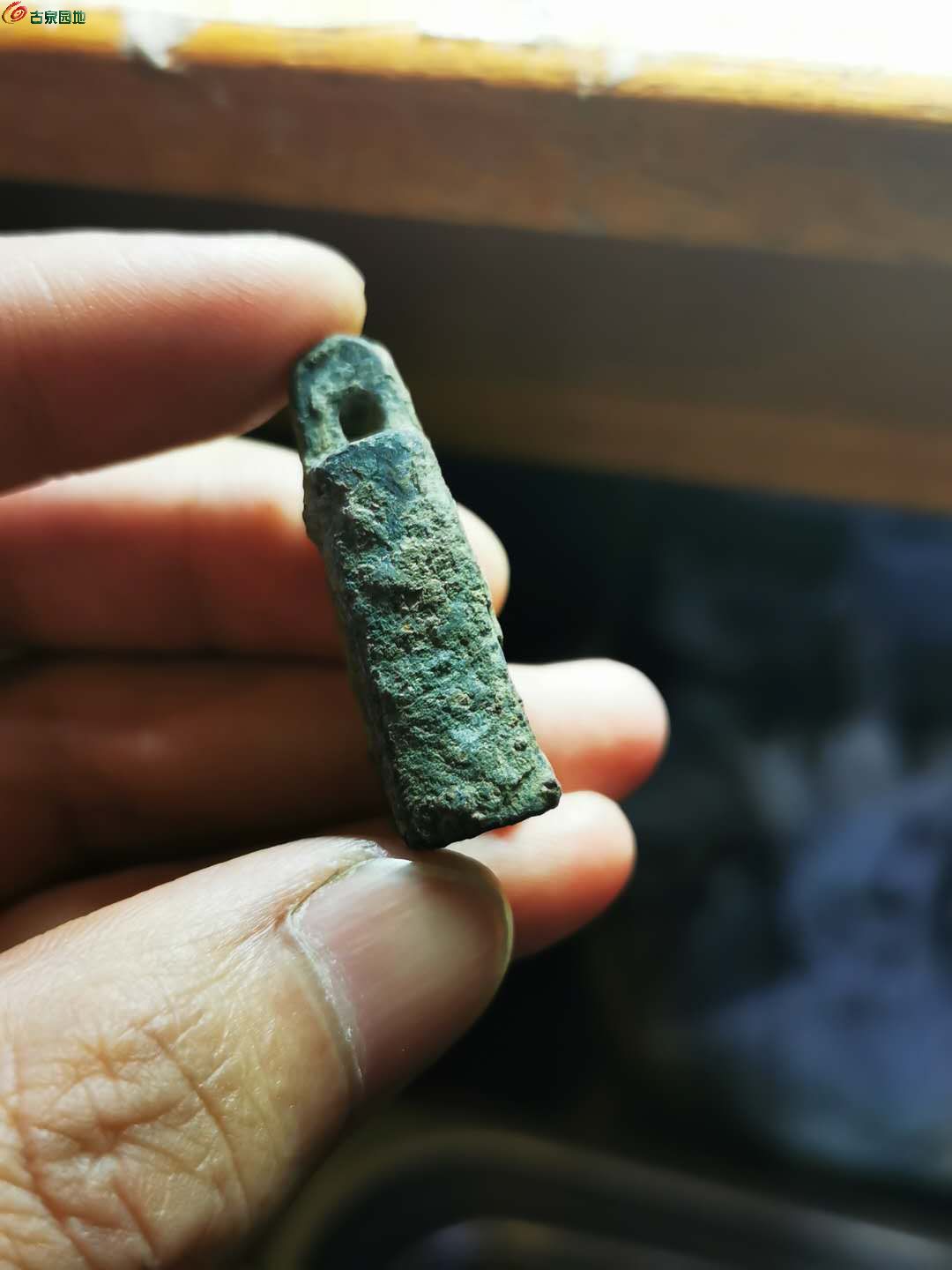心币(心血来潮)