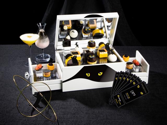 一猫币(一猫币等于多少人民币)