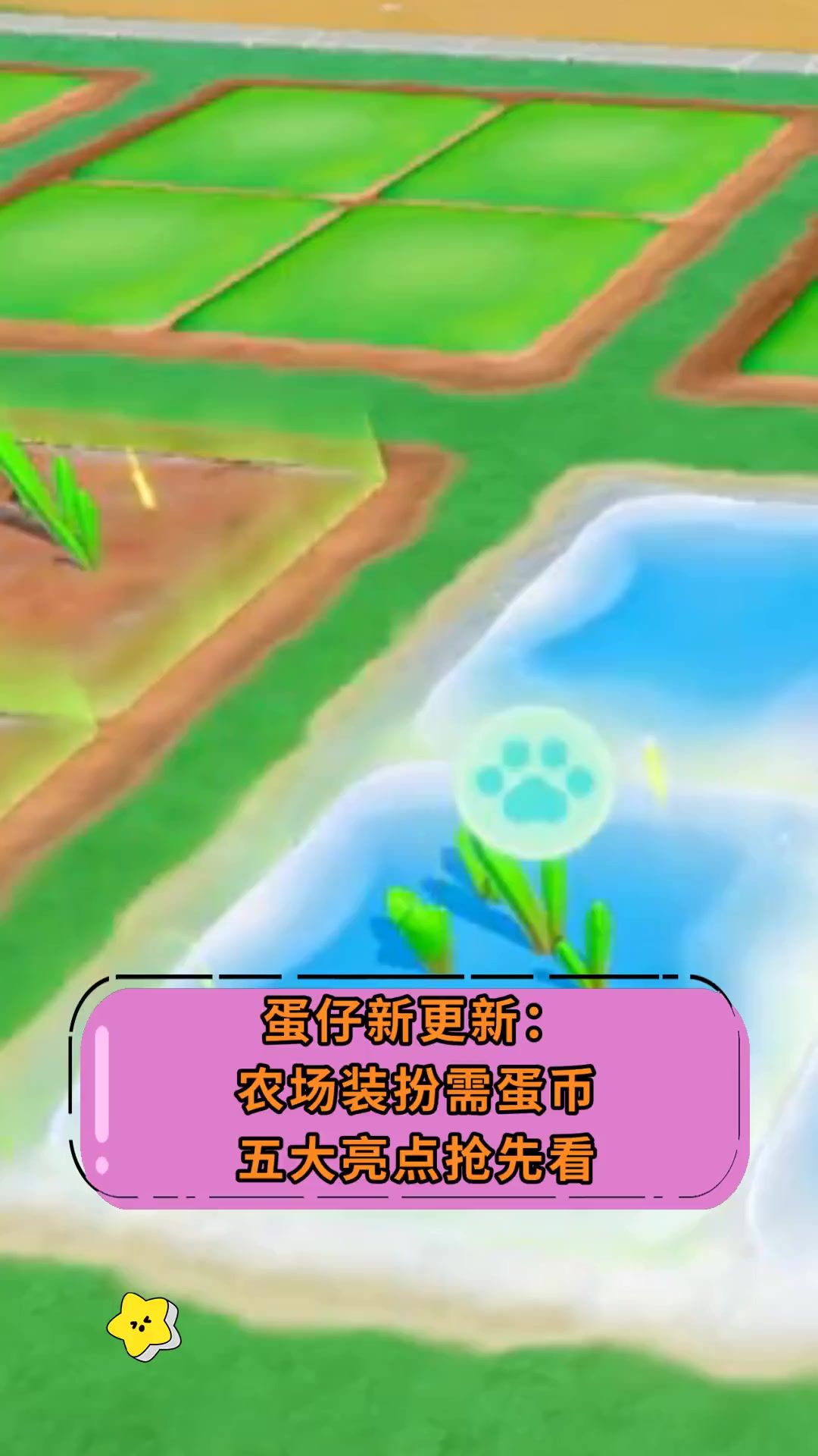 币蛋网(币蛋网张寿宋)
