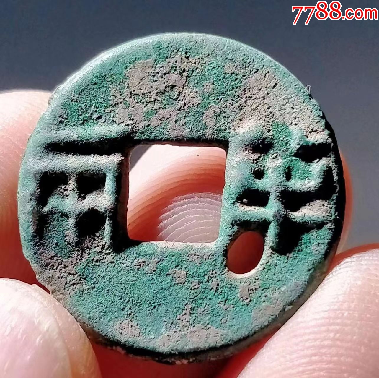 半两币(半两币制)