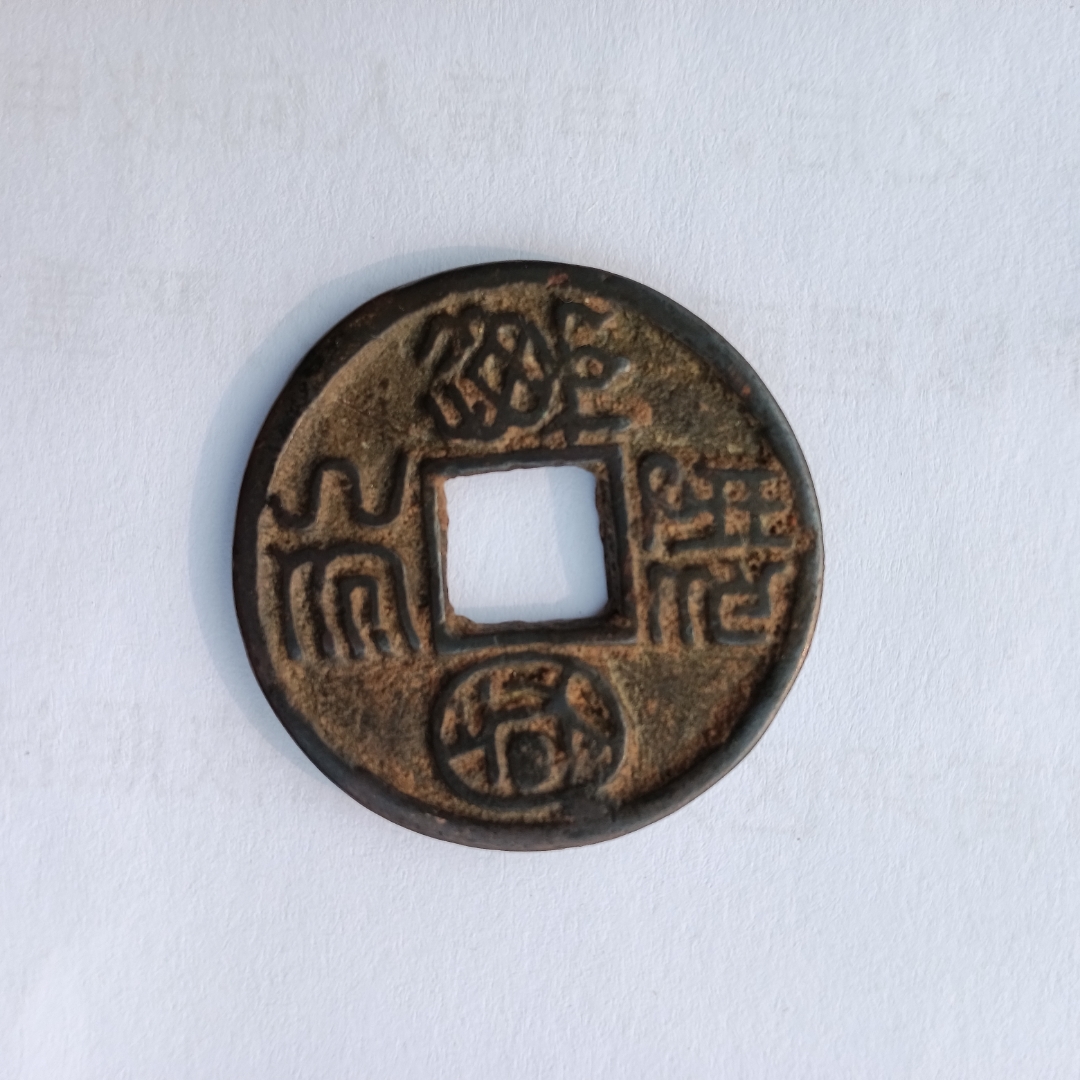 龟币(龟币贝币)