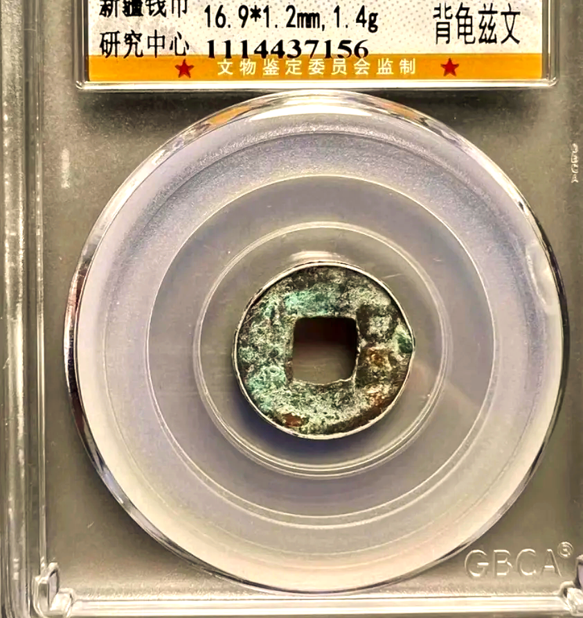 龟币(龟币贝币)