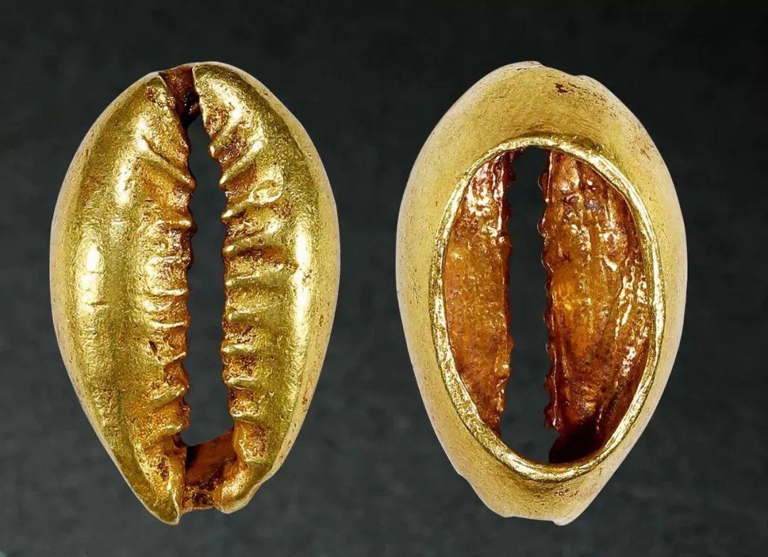 金贝币(金贝币高清大图)