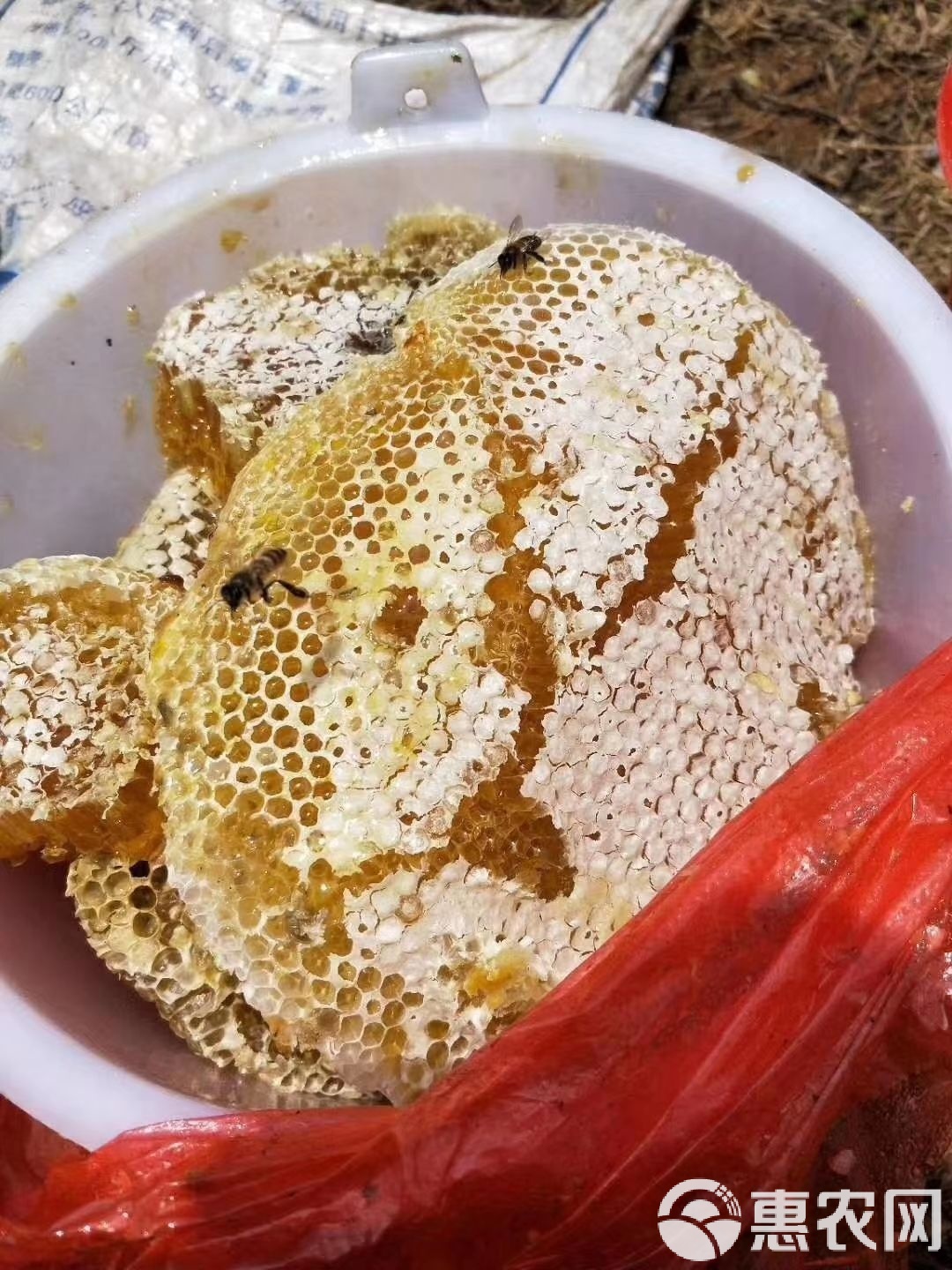 蜂蜜(蜂蜜加白醋有什么功效能减肥吗) 蜂蜜(蜂蜜加白醋有什么功效能减肥吗)