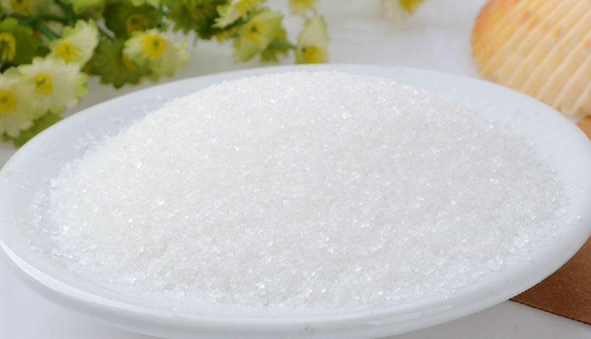 白糖(白糖期货最新行情)