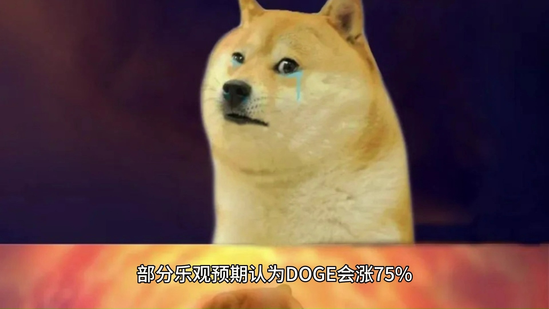 DOGE(doge币交易所买用什么平台专业安全中文下载中国) DOGE(doge币交易所买用什么平台专业安全中文下载中国)