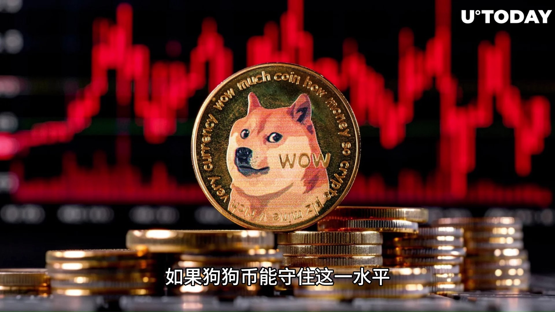 doge币价格(pupdoge币价格)