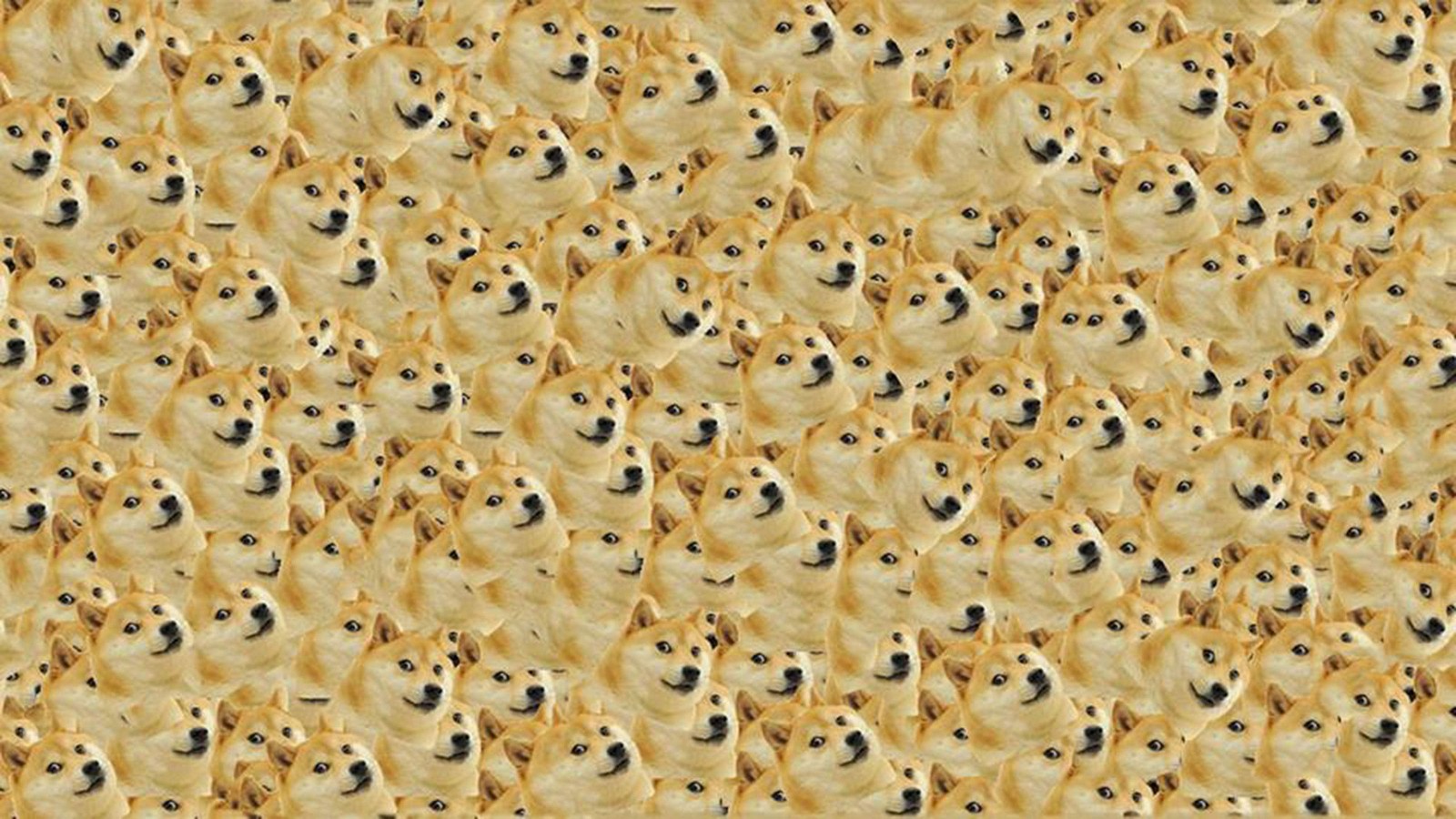 DOGE(doge币价格)