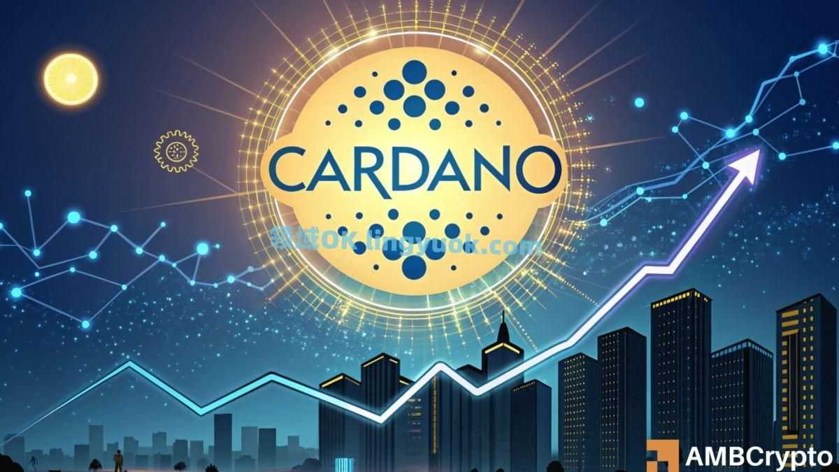 ada艾达币(ada艾达币是哪个国家的)