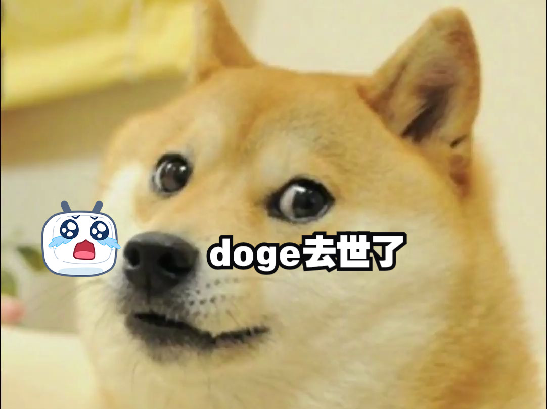 doge是什么意思(doge是什么意思网络用语怎么说) doge是什么意思(doge是什么意思网络用语怎么说)