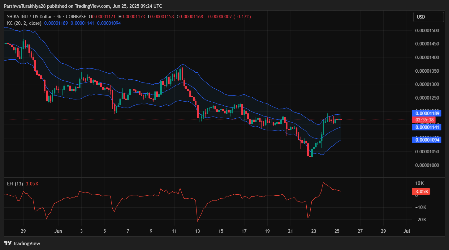 shib价格(shib价格今日行情)