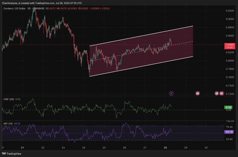 ada今日价格(ada今日最新价格) ada今日价格(ada今日最新价格)
