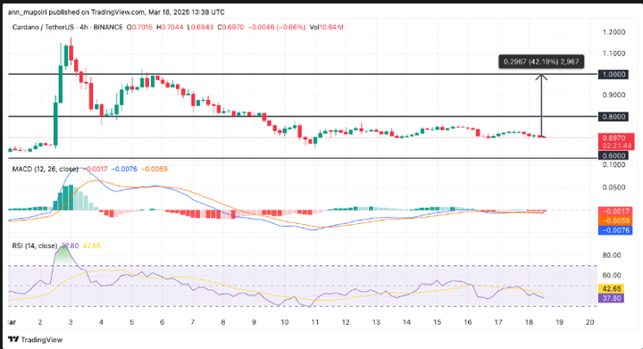ada价格(armada价格)