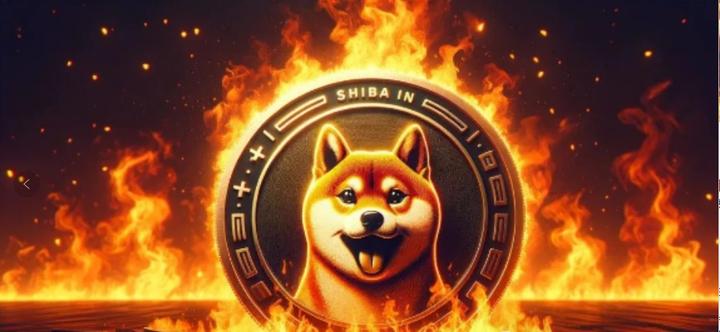 shib币前景(shib币未来发展前景)