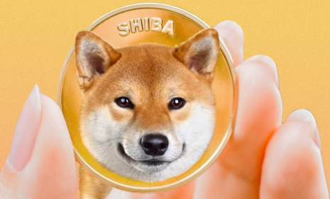 shib币前景(shib币前景未来3年)