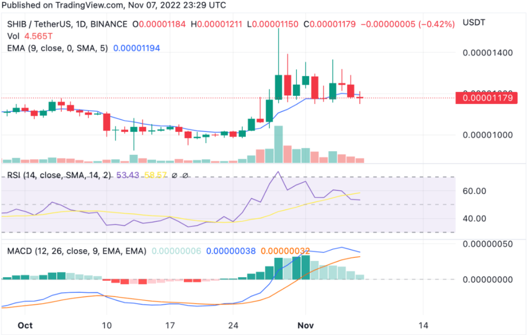 shib(十八岁太奶奶驾到重整家族荣耀) shib(十八岁太奶奶驾到重整家族荣耀)