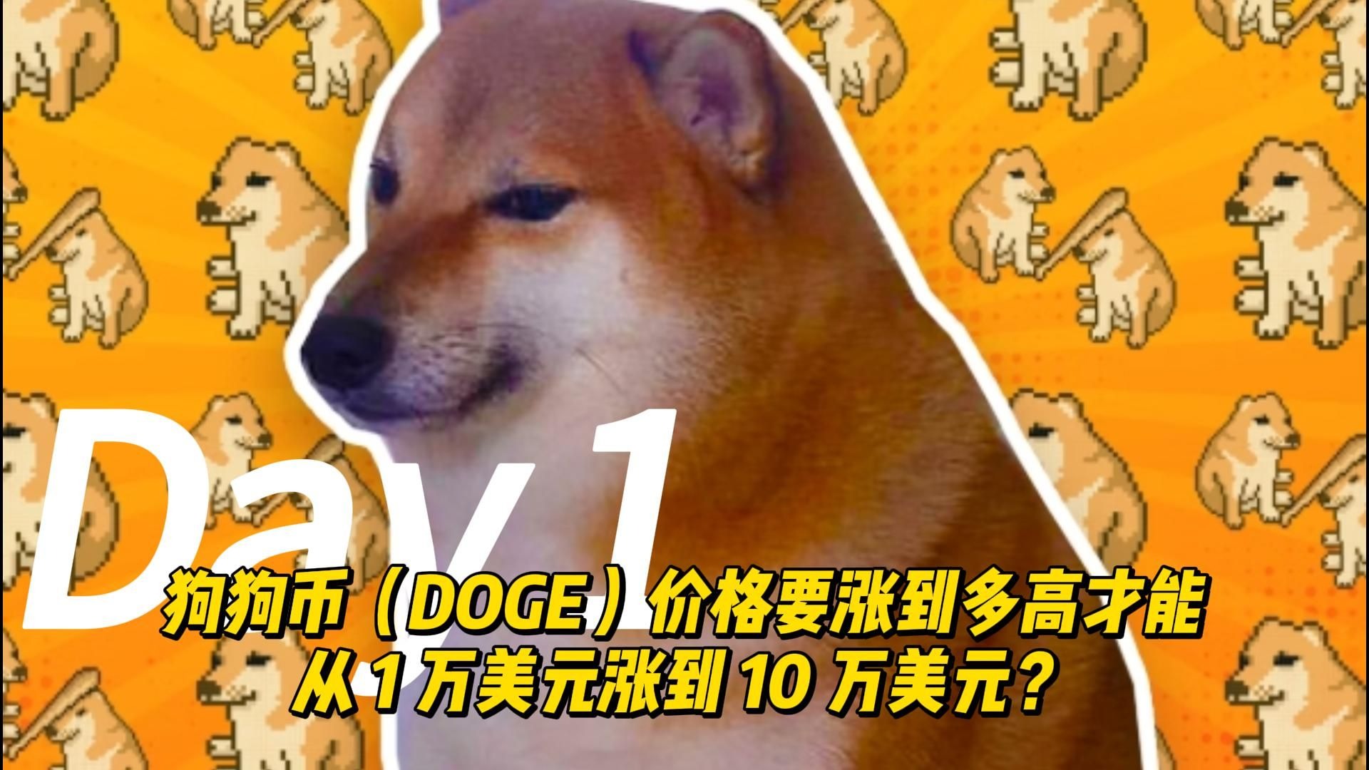 DOGE(doge币怎么买用什么平台专业安全地中文下载中国)