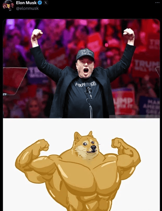 DOGE(dogecoin交易所怎么交易下载地址链接中国)