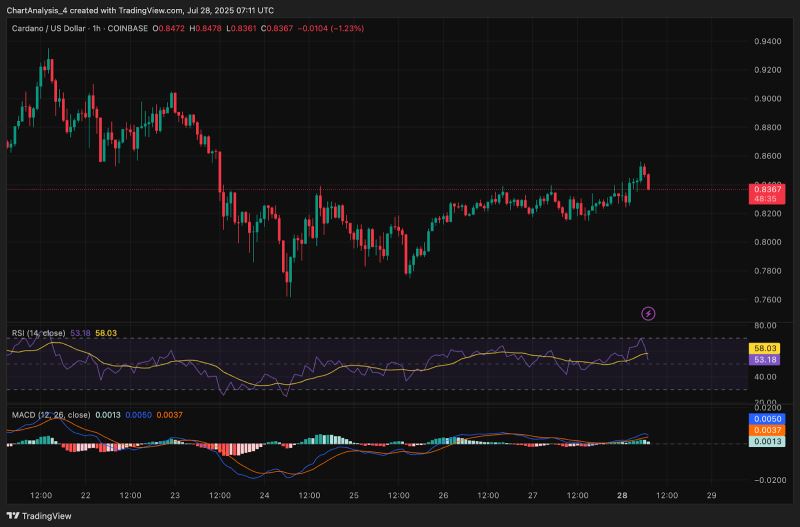 ada价格(5880ada价格)