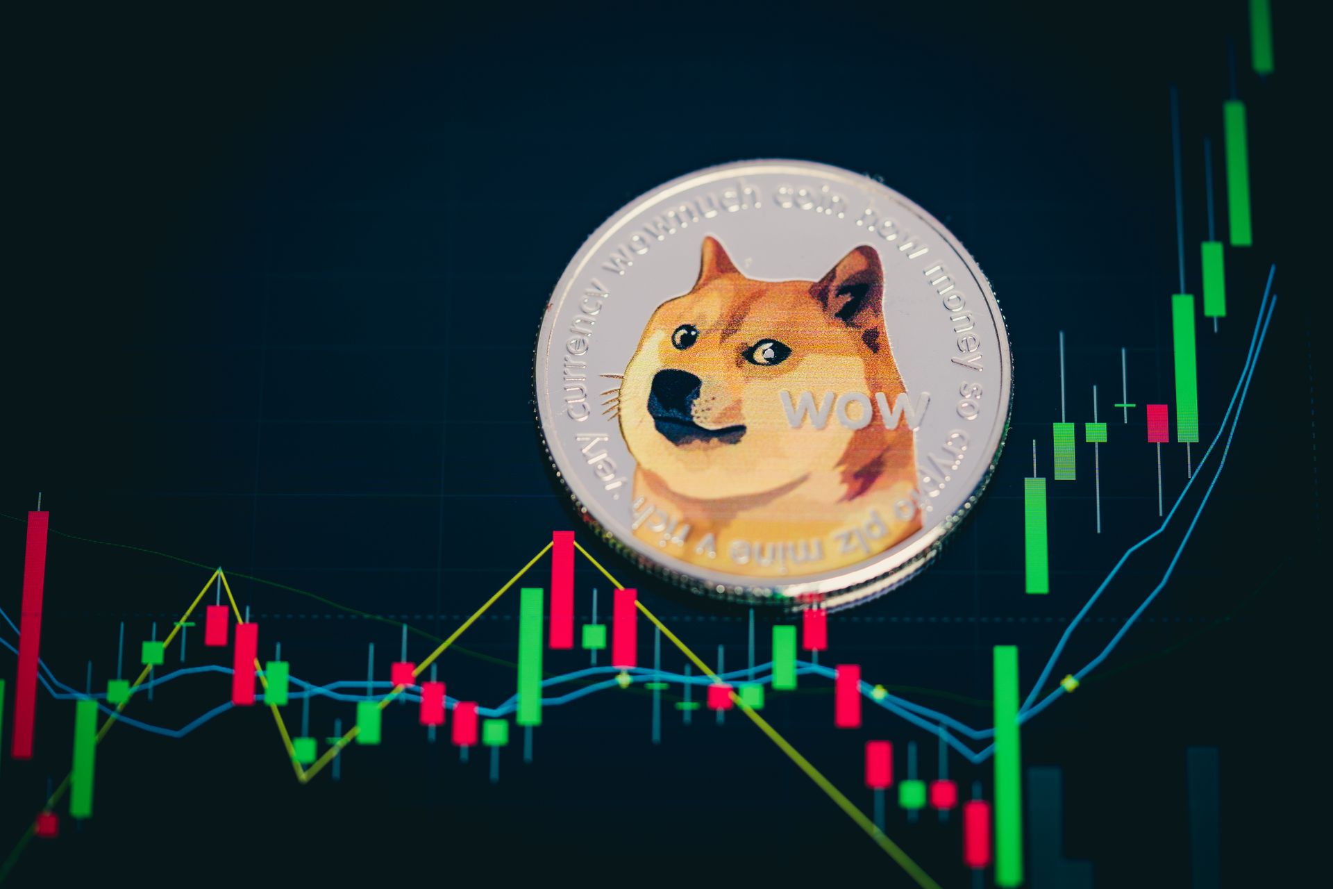 DOGE(doge是什么意思) DOGE(doge是什么意思)