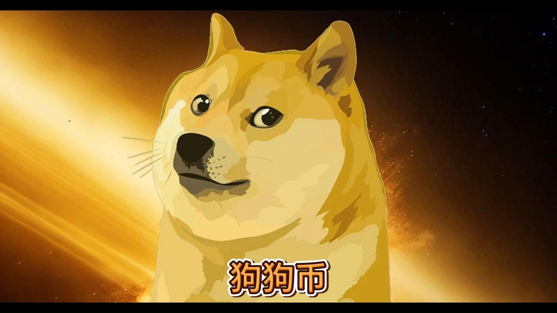 doge行情(dogeswap行情)