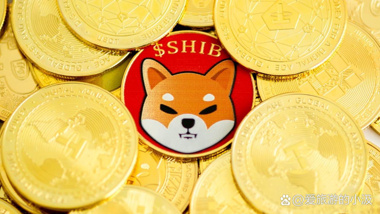 shib币最新消息(shib币最新消息称)