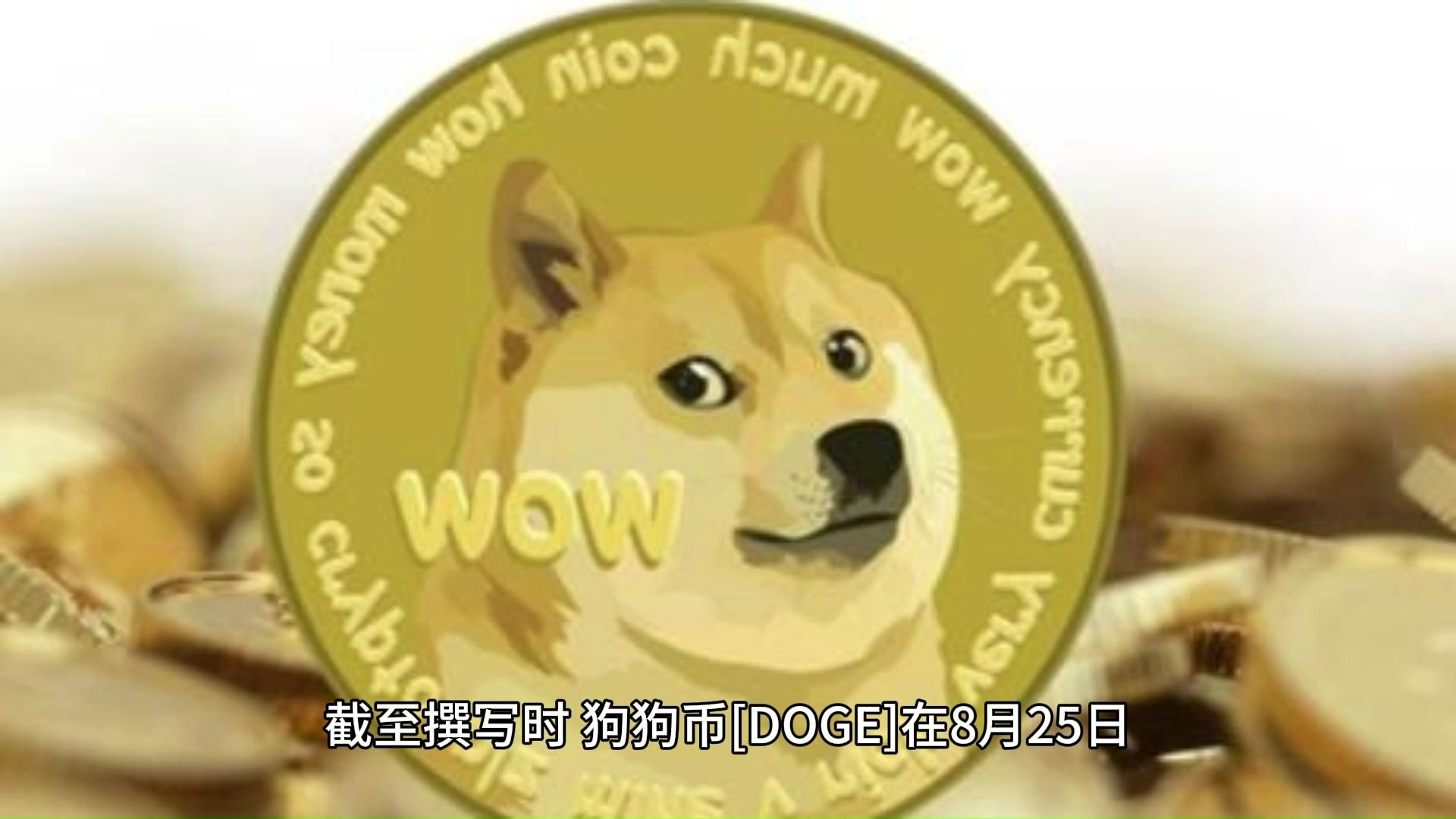 DOGE(dogess)