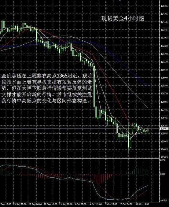 大田环球贵金属官网(大田环球贵金属官网登录)