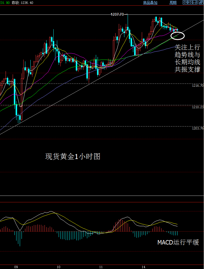 大田环球贵金属官网(今日大田环球黄金分析)